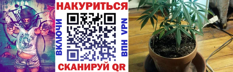 Виды наркотиков купить Заводоуковск ГАШИШ кракен рабочий сайт Псилоцибиновые грибы Конопля МЕФ Cocaine