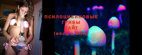 дживик Алексин