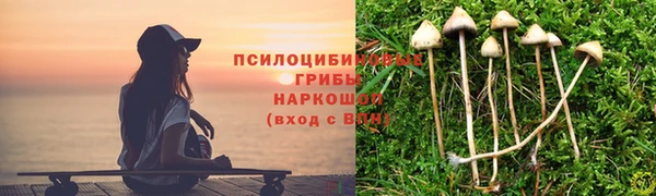 трава Алексеевка