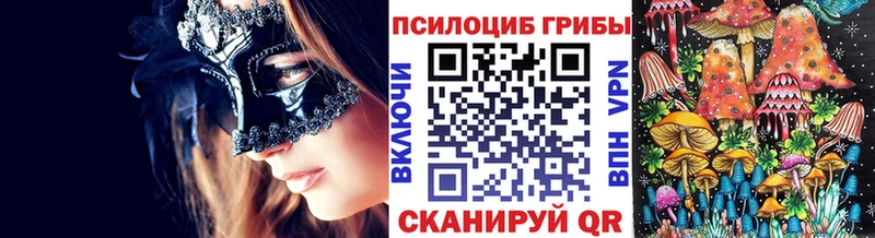 Псилоцибиновые грибы Cubensis  Заводоуковск 