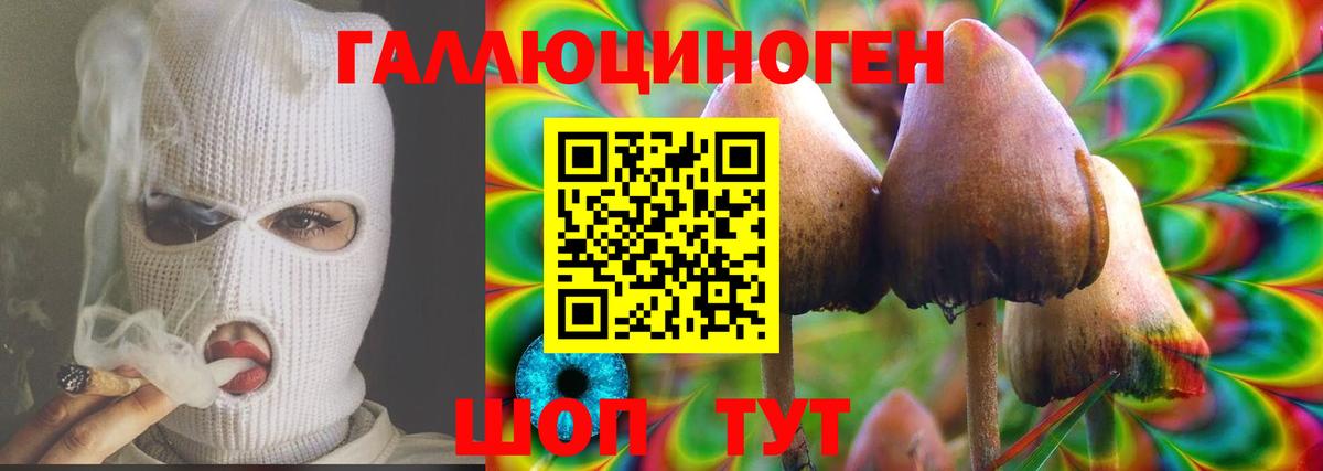Галлюциногенные грибы прущие грибы  Вход с VPN  Заводоуковск 
