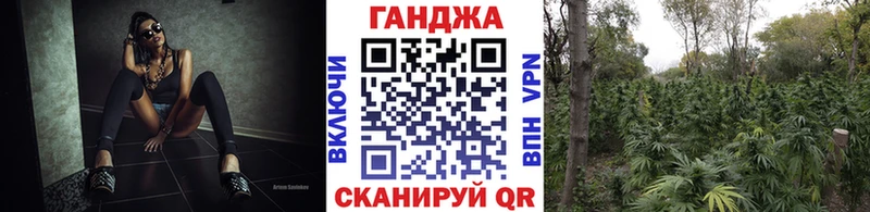 Шишки марихуана марихуана  как найти закладки  Заводоуковск 